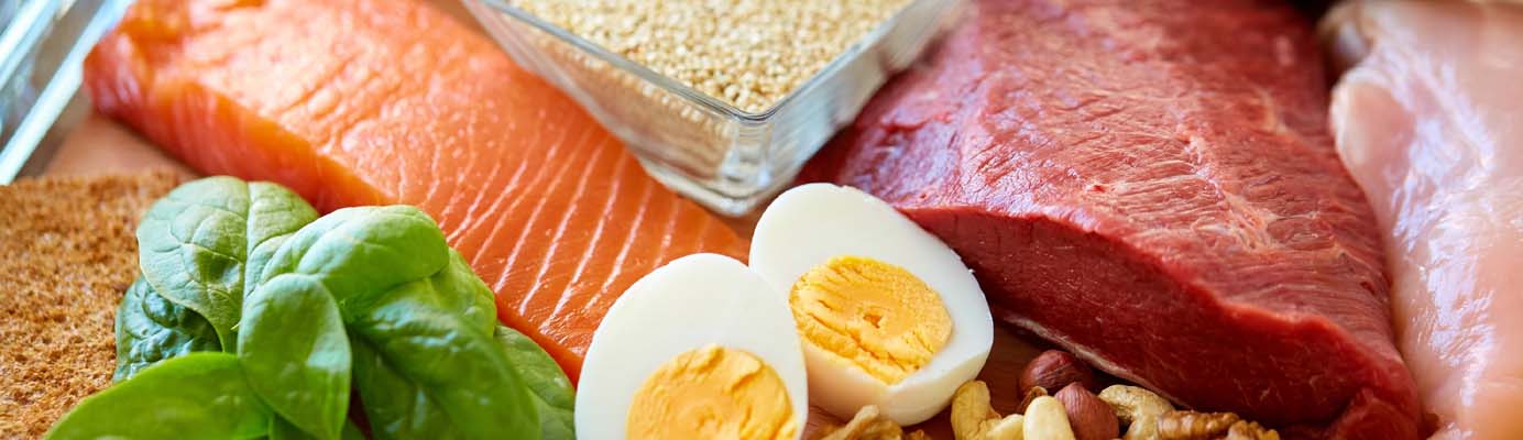 Foods high in protein